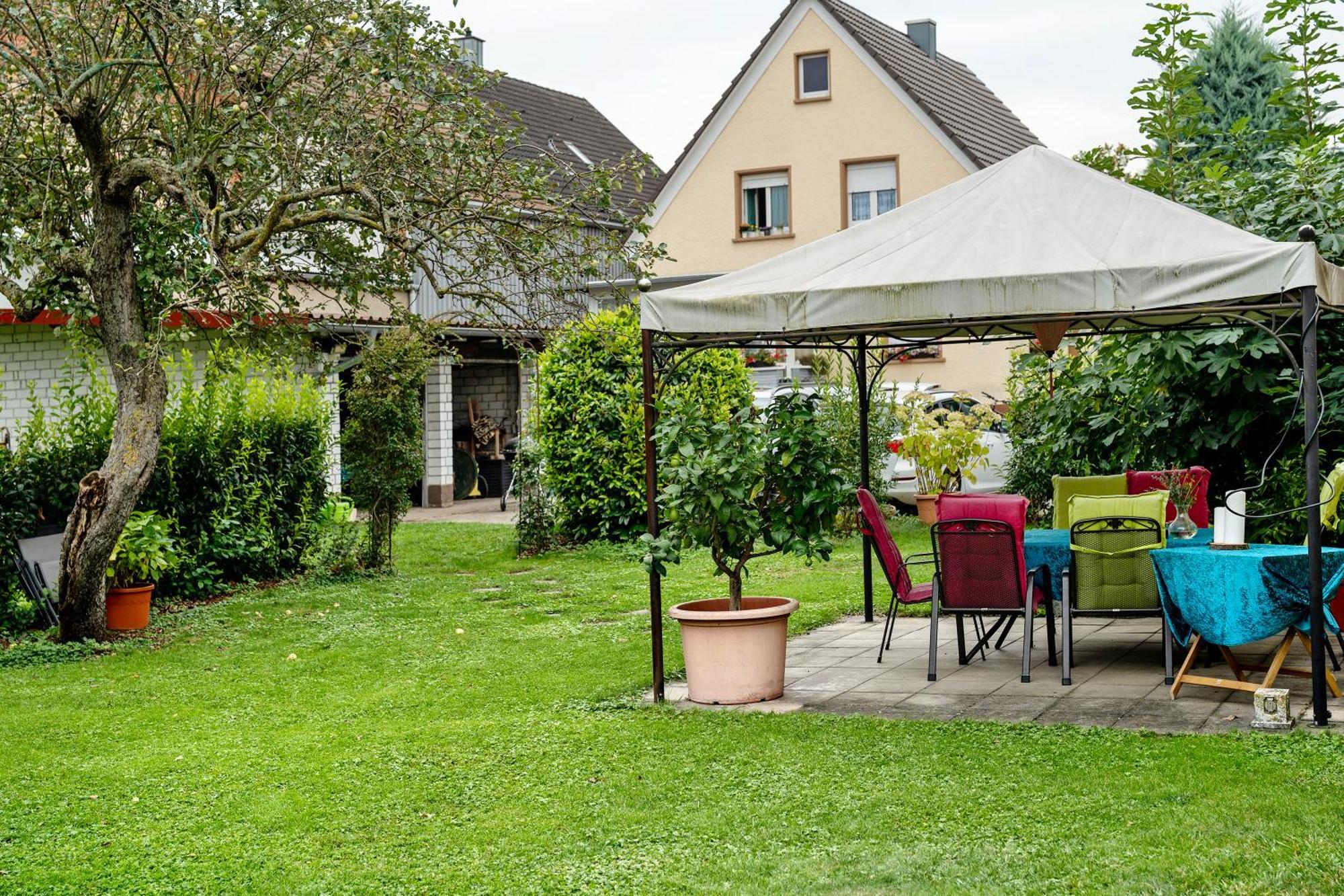 Ferienwohnung Walter 灵斯海姆 外观 照片